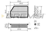 BREMSI FA0607 - año construcción hasta: 07/2015<br>Tipo de filtro: Cartucho filtrante<br>Longitud [mm]: 258<br>Ancho [mm]: 163<br>Altura [mm]: 53<br>Cantidad: 1<br>