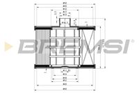 BREMSI FE0041 - Filtro combustible