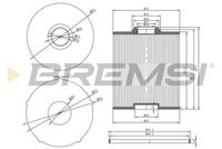 BREMSI FE0769 - Filtro combustible