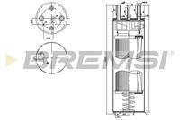 BREMSI FE0779 - Filtro combustible