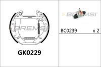 BREMBO K85013 - Lado de montaje: Eje trasero<br>Ancho [mm]: 31<br>Sistema de frenos: VAG<br>Diámetro interior de tambor de freno [mm]: 180<br>Tipo de montaje: premontado<br>Reajuste: con reajuste manual<br>Diámetro de orificio [mm]: 14<br>