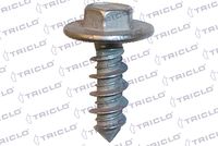 TRICLO 161876 - Tornillo