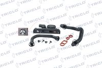 TRICLO 412622 - Kit de reparación, ventilación del cárter