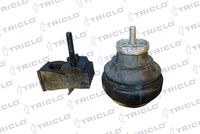 TRICLO 362206 - Lado de montaje: izquierda<br>Tipo de cojinetes: Rodamiento de caucho-metal<br>Peso [kg]: 1,848<br>