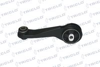 TRICLO 365421 - Soporte, motor