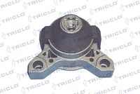 TRICLO 368644 - Soporte, motor