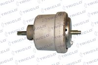 TRICLO 368662 - Soporte, motor