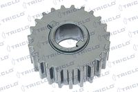 TRICLO 428858 - nº de motor hasta: 02JF1179<br>nº de motor hasta: 20E58193<br>Se requiere adicionalmente artículo Nº: OE: 5614 430<br>Número de dientes: 23<br>Espesor [mm]: 25<br>Número de piezas necesarias: 1<br>Diámetro exterior [mm]: 57<br>Distribución del motor: Ruedas dentadas rectas<br>