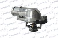 TRICLO 463253 - Termostato, refrigerante