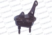 TRICLO 781493 - Lado de montaje: Eje trasero izquierda<br>Lado de montaje: Eje trasero, derecha<br>Lado de montaje: posterior<br>Número de piezas necesarias: 2<br>