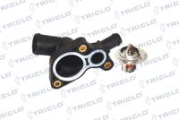 TRICLO 462911 - Termostato, refrigerante