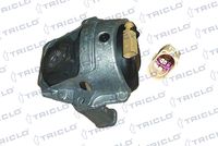 TRICLO 362463 - Soporte, motor