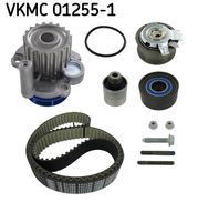 SKF VKMC012551 - Bomba de agua + kit correa distribución