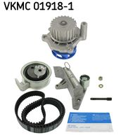 SKF VKMC019181 - Bomba de agua + kit correa distribución