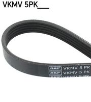 SKF VKMV5PK1570 - N.º de chasis (VIN) hasta: 51 999999<br>Unidades accionadas: Alternador<br>Equipamiento de vehículo: para vehículos con climatizador<br>Longitud [mm]: 1546<br>Ancho [mm]: 17,80<br>Material de las correas: EPDM (Ethylen-Propylen-Dien-Caucho)<br>Color: negro<br>Número de nervaduras: 5<br>SVHC: No existen sustancias SVHC<br>