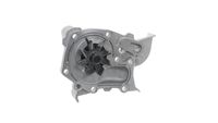 SKF VKPC 86216 - Bomba de agua, refrigeración del motor