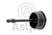 Aslyx AS503981 - Altura [mm]: 99<br>Diámetro exterior [mm]: 77,5<br>Ancho de llave: 24<br>Perfil cabeza tornillo/tuerca: Hexágono exterior<br>