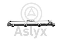 Aslyx AS535646 - Tubo distribuidor, combustible