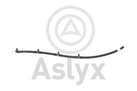 Aslyx AS204664 - Tubo flexible de combustible