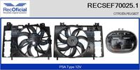 RECOFICIAL SEF700251 - Motor eléctrico, ventilador del radiador