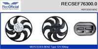 RECOFICIAL SEF763000 - Ventilador, refrigeración del motor