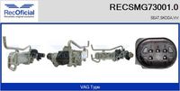 RECOFICIAL SMG730010 - Módulo EGR