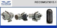 RECOFICIAL SMG730131 - Módulo EGR