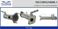 RECOFICIAL SRG740001 - Elemento enfriador, reciclaje gases escape