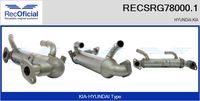 RECOFICIAL SRG780001 - Elemento enfriador, reciclaje gases escape