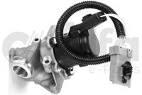 Alfa e-Parts AF07738 - Válvula EGR