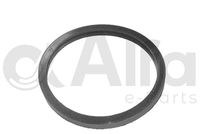 Alfa e-Parts AF10613 - 