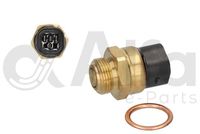 Alfa e-Parts AF03533 - Interruptor de temperatura, ventilador del radiador