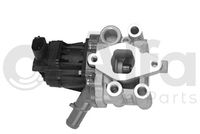 Alfa e-Parts AF08466 - Válvula EGR