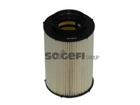 FRAM C9766ECO - Filtro combustible