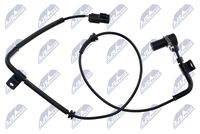 NTY HCA-HY-529 - Sensor, revoluciones de la rueda