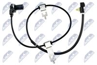 NTY HCA-MS-075 - Número de enchufes de contacto: 2<br>Longitud de cable [mm]: 600<br>Longitud total [mm]: 670<br>Tipo de sensor: inductivo<br>Profundidad de montaje [mm]: 28<br>para OE N°: MR569090<br>Lado de montaje: Eje trasero, derecha<br>Lado de montaje: Eje trasero izquierda<br>Calidad: OE EQUIVALENT<br>