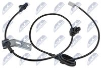 NTY HCA-MZ-051 - Sensor, revoluciones de la rueda