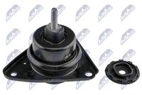 NTY ZPS-KA-317 - Soporte, motor