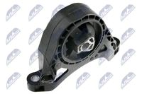 NTY ZPS-PL-011 - Soporte, motor