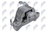 NTY ZPS-PL-004 - Soporte, motor