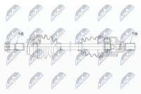 NTY CTM-HD-001 - Termostato, refrigerante