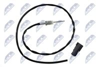 NTY EGT-FR-002 - Sensor, temp. gas escape