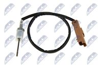 NTY EGT-FT-027 - Sensor, temp. gas escape