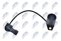 NTY EPO-PL-002 - Sensor, nivel de aceite del motor