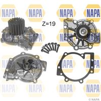 MDR AISWV012 - Modelo bomba agua: para accionamiento con correa trapecial<br>Material rotor de la bomba: Metal<br>Artículo complementario/Información complementaria: con juntas<br>Número de dientes: 19<br>