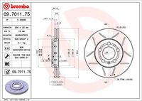 BREMBO 09701175 - Disco de freno - XTRA LINE - Max