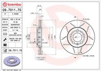 BREMBO 09701175 - Disco de freno - XTRA LINE - Max