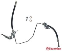 BOSCH 1987481317 - año construcción hasta: 03/2010<br>Lado de montaje: Eje trasero, derecha<br>Frenos: para vehículos con freno de tambor en eje trasero<br>Frenos: para vehículos con disco de frenos en eje delantero<br>Longitud [mm]: 225<br>Rosca exterior 2 [mm]: M10x1<br>Rosca interior 1 [mm]: M10x1<br>