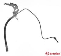 BOSCH 1987481162 - año construcción hasta: 08/2005<br>Lado de montaje: Eje trasero izquierda<br>Frenos: para vehículos con freno de tambor en eje trasero<br>Frenos: para vehículos con disco de frenos en eje delantero<br>Artículo complementario/Información complementaria: con soporte<br>Longitud [mm]: 225<br>Rosca exterior 2 [mm]: M10x1<br>Rosca interior 1 [mm]: M10x1<br>