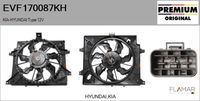 FLAMAR EVF170087KH - Motor eléctrico, ventilador del radiador